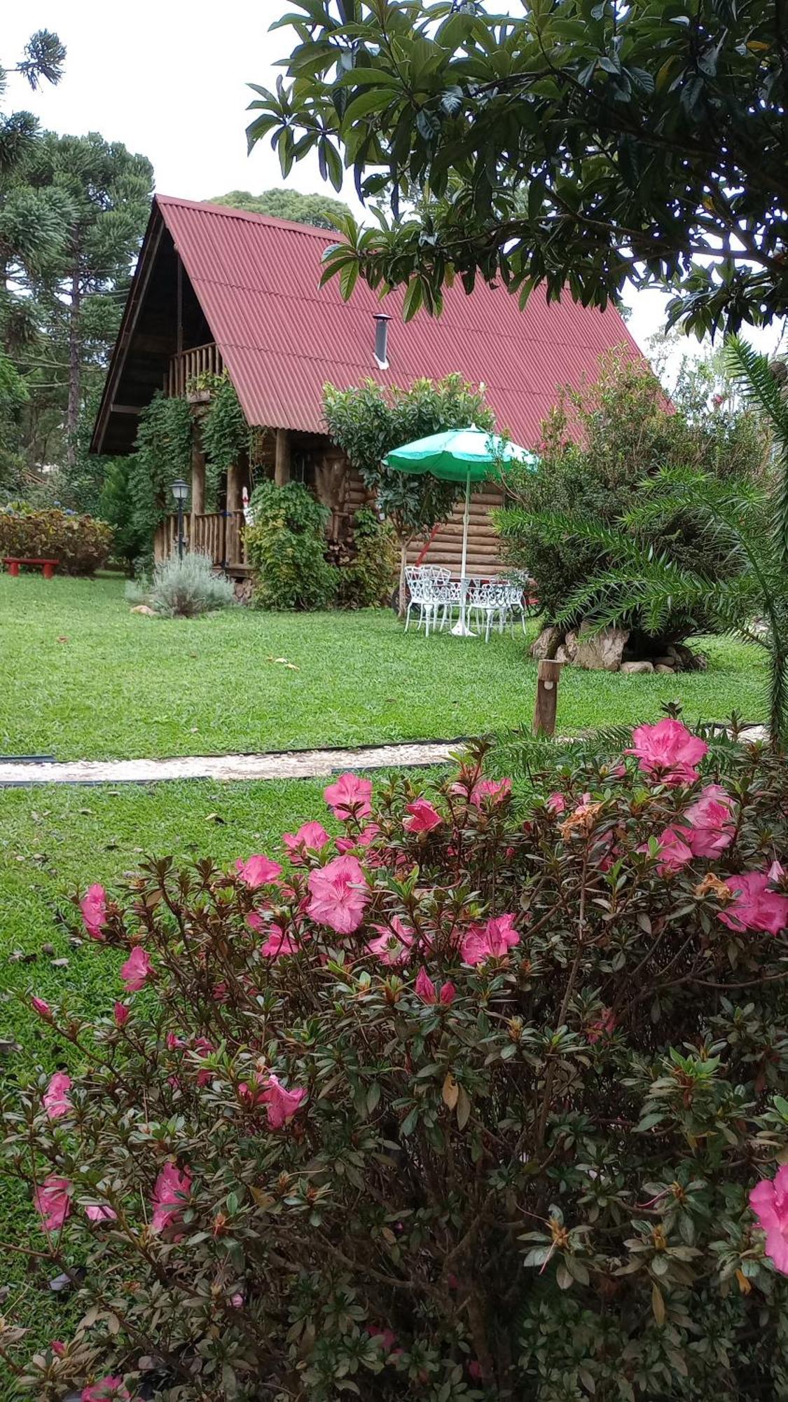 坎普阿莱格里 Casa De Toras酒店 外观 照片
